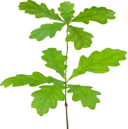 support@integrious.co.uk